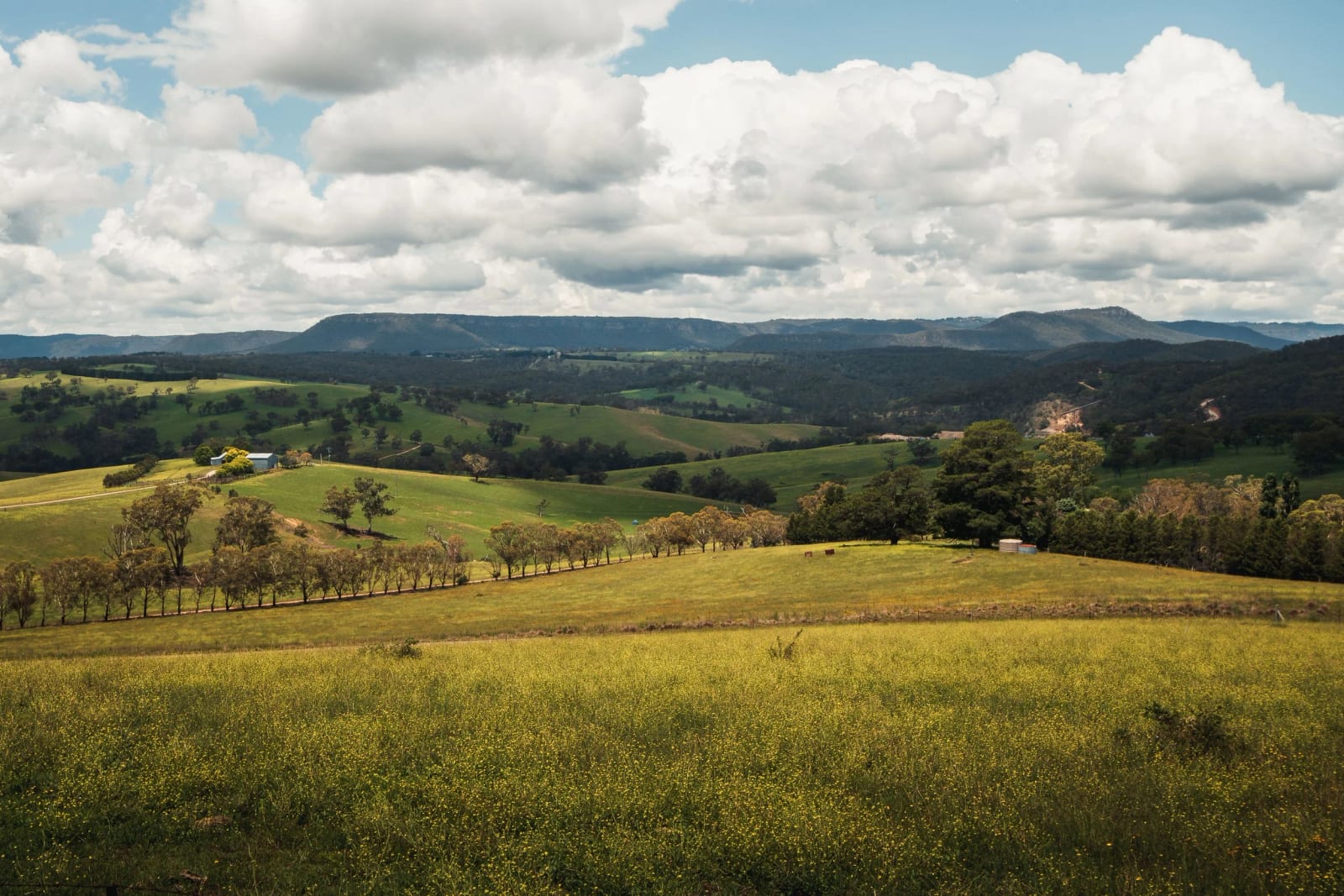 Australia 005