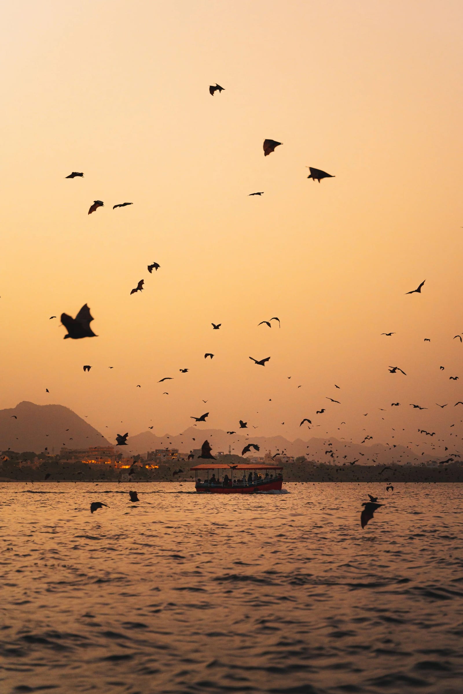 India 004
