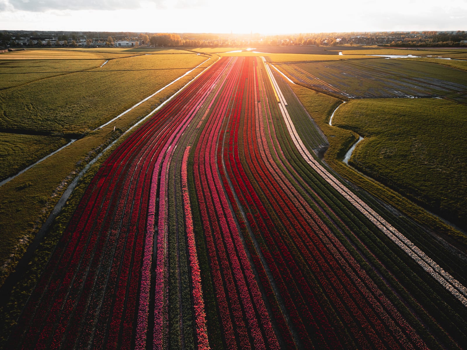 Aerial view of Dutch landscape
