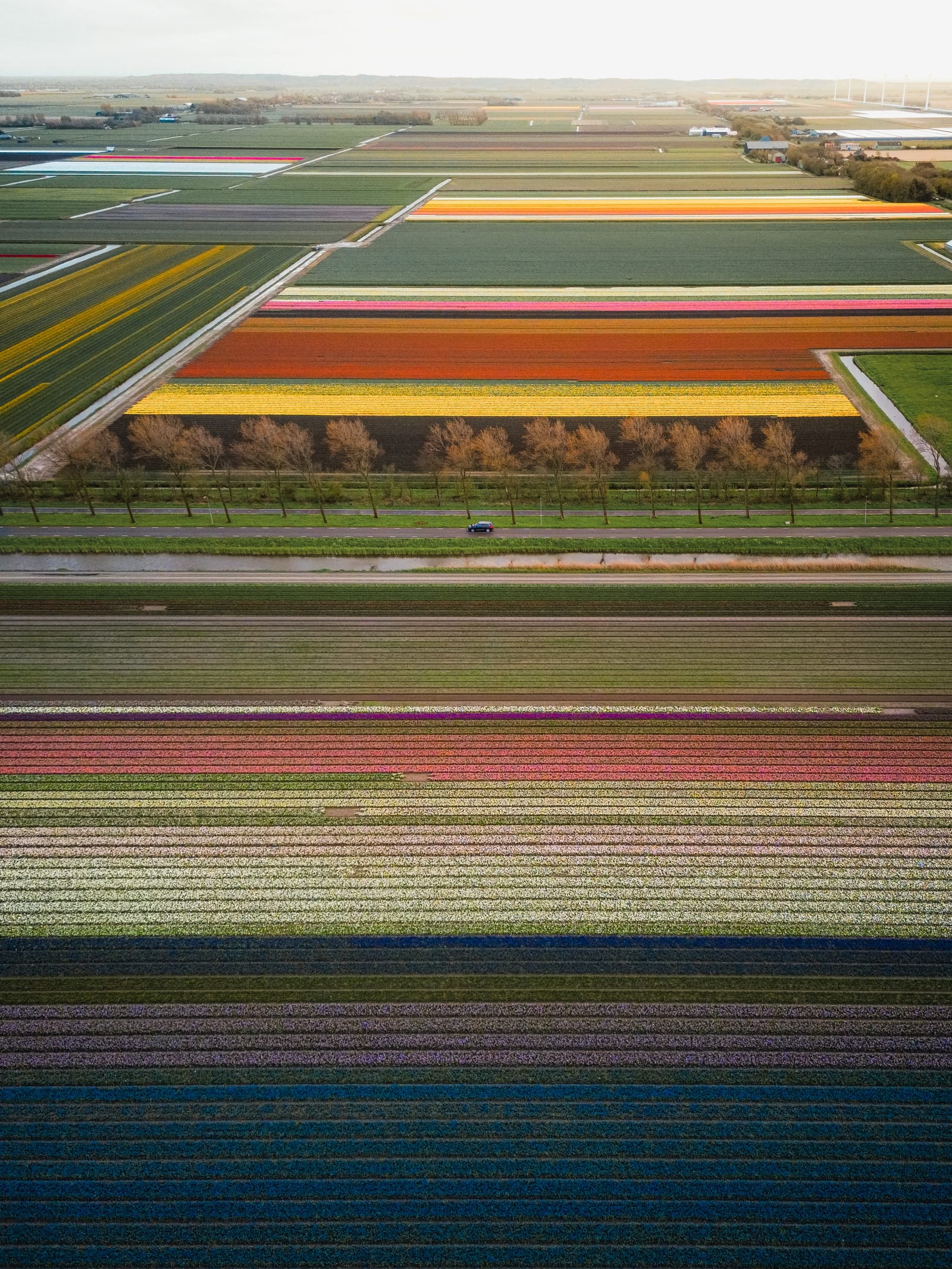Dji Fly 20240425 022142 7 1713895097053 Photo 2
