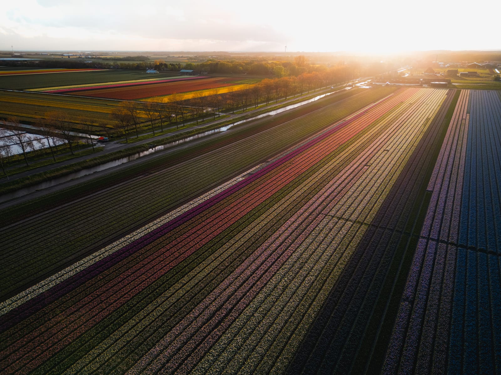 Dji Fly 20240425 023736 19 1713897274520 Photo