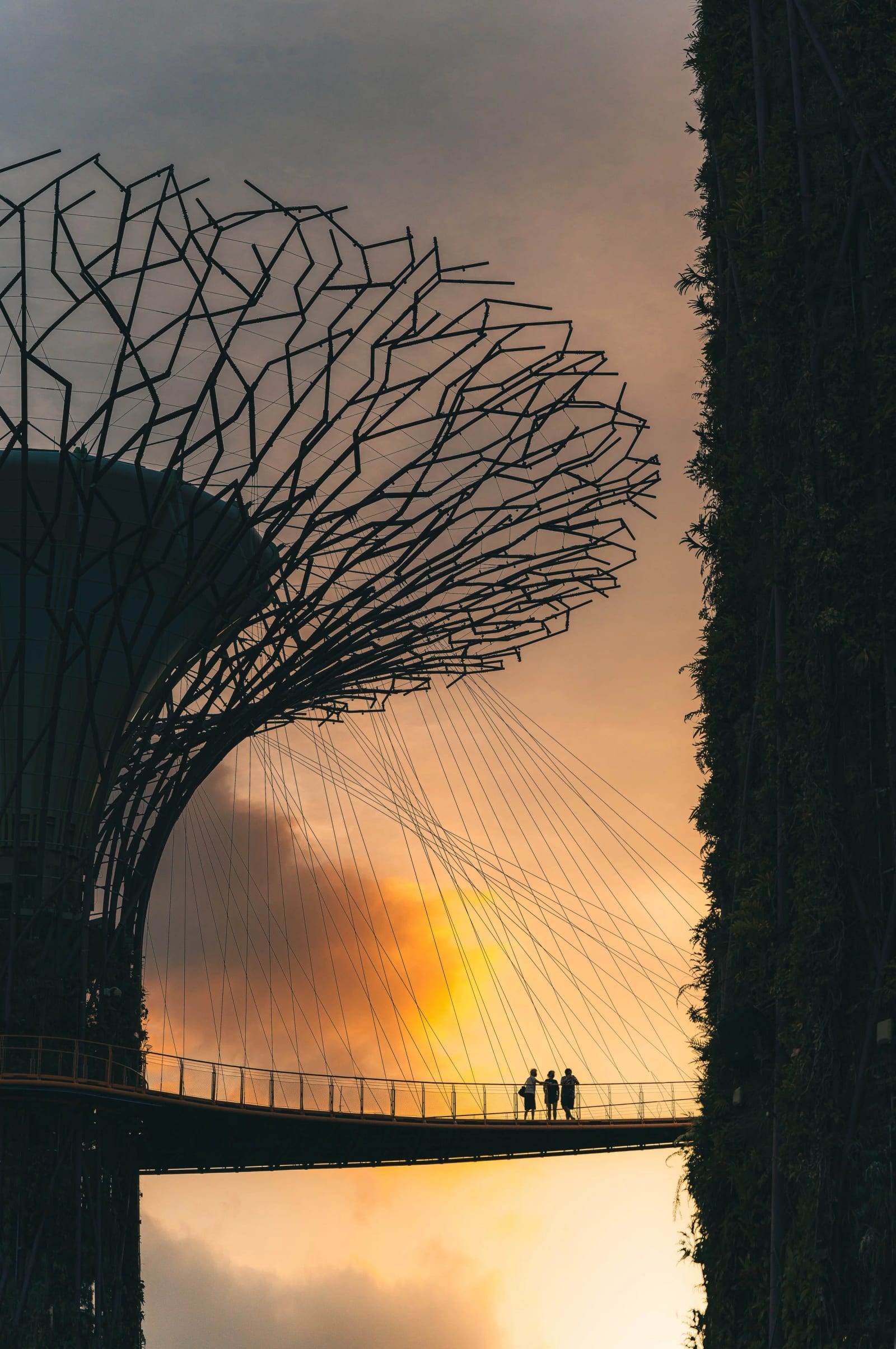 Singapore 019